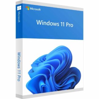 WINDOWS 11 PRO 2